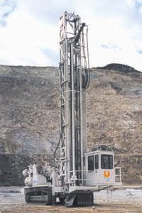 D245S
